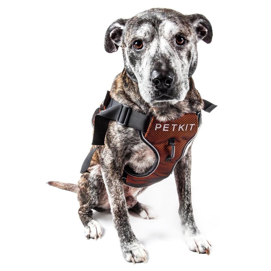 orange reflective dog harness