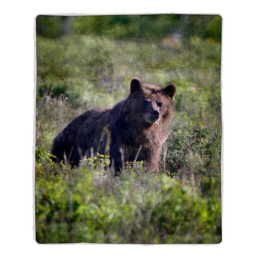 grizzly bear blanket