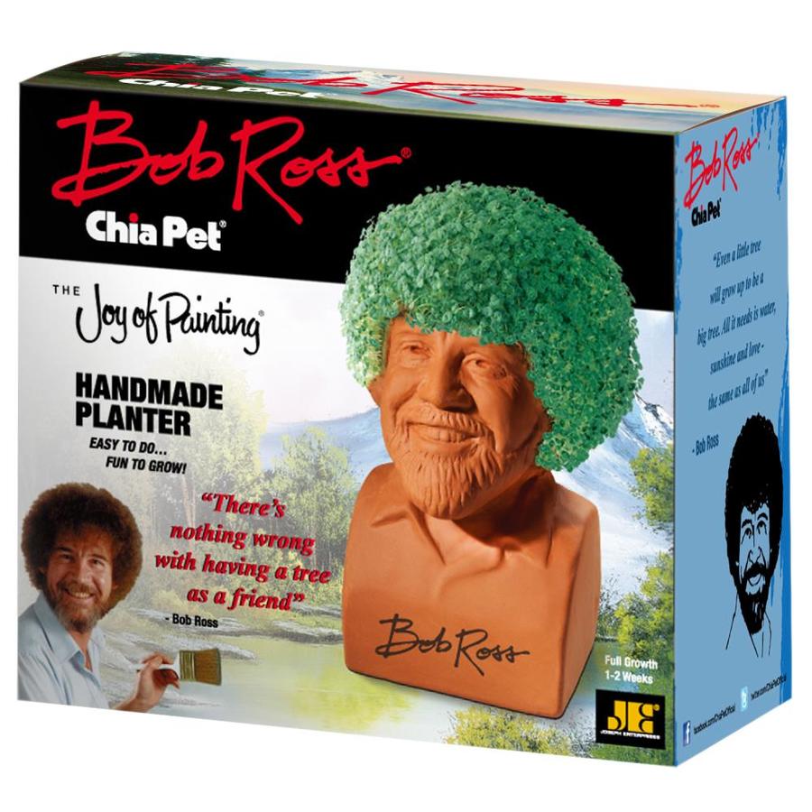 Chia Pet Green in Plantable Container in the House Plants