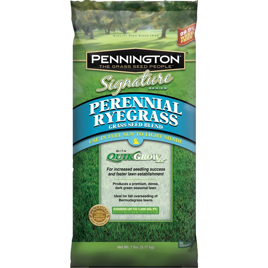 Pennington Signature Ryegrass Grass Seed At