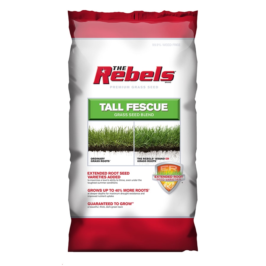 Shop Rebel Premium 40-lb Tall Fescue Grass Seed at Lowes.com Best Grass Seed For Oklahoma Shade