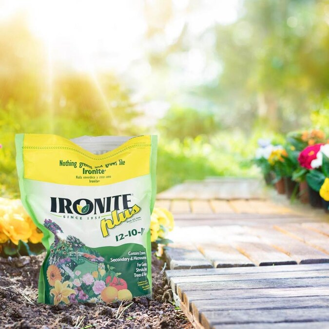 Ironite Plus 3-lb All Purpose Food in the Plant Food department at