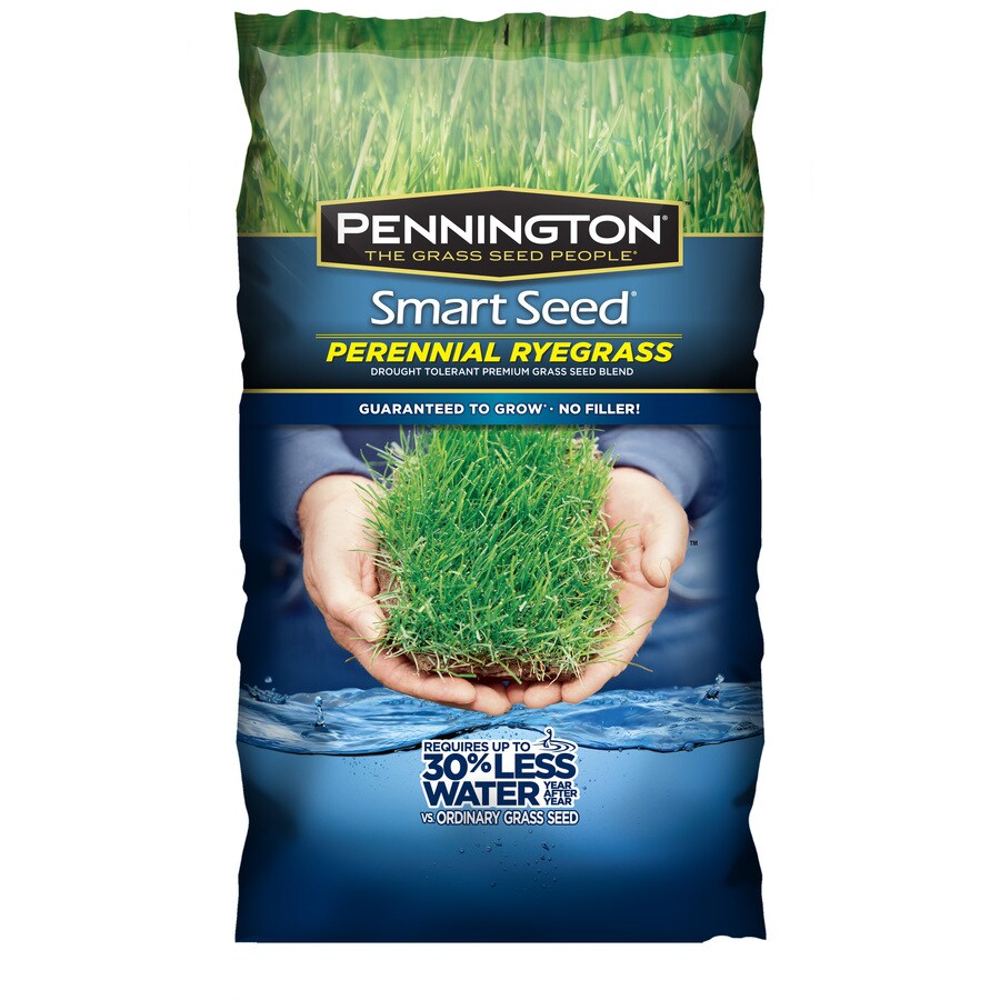 Pennington Smart Seed Perennial Ryegrass Grass Seed at