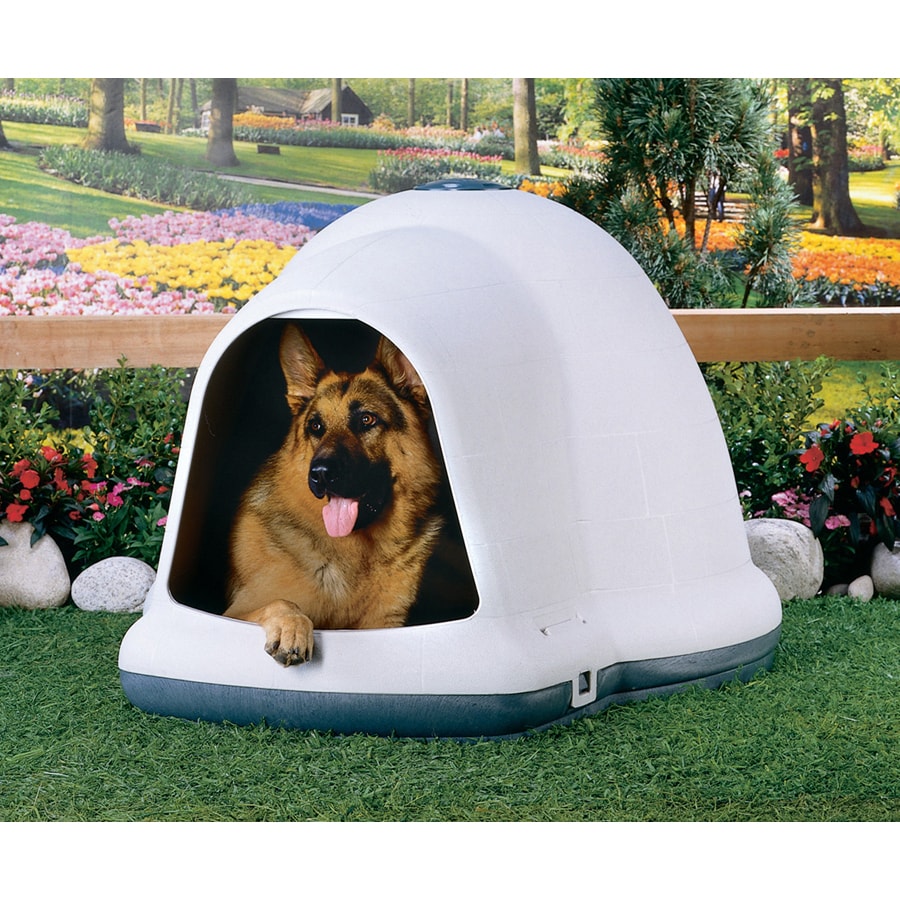 dogloo igloo dog house