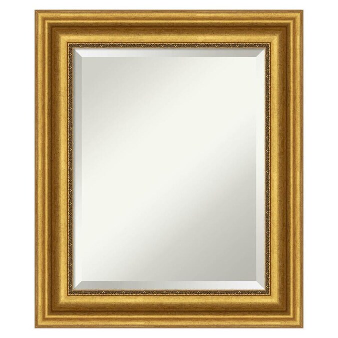 Amanti Art Parlor Gold Frame Collection 21 62 In Antique