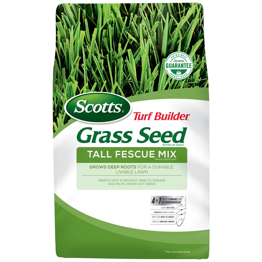 Scotts Dense Shade Mix Has The Ability To Grow With As Little As 3 Hours Of Sunlight Making It Ideal For Seeding Around Or Turf Builder Shade Grass Grass Seed