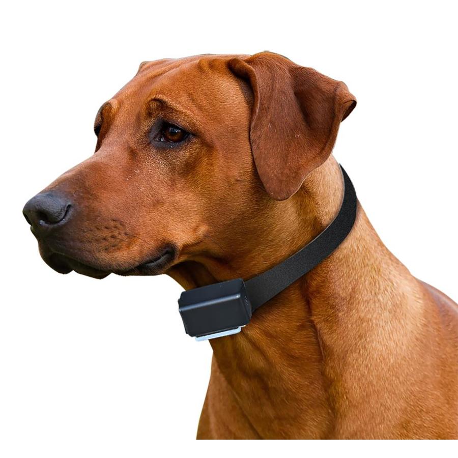 High Tech Pet Static Area Restriction Pet Training Collar