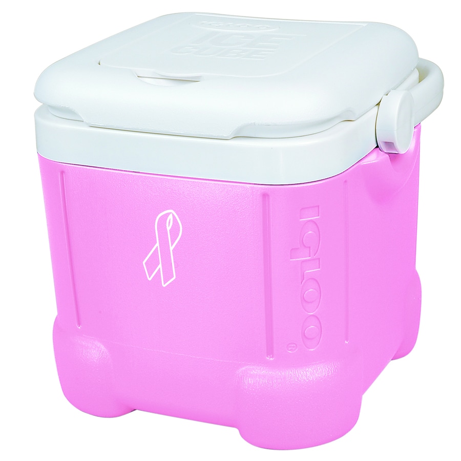 pink igloo cooler