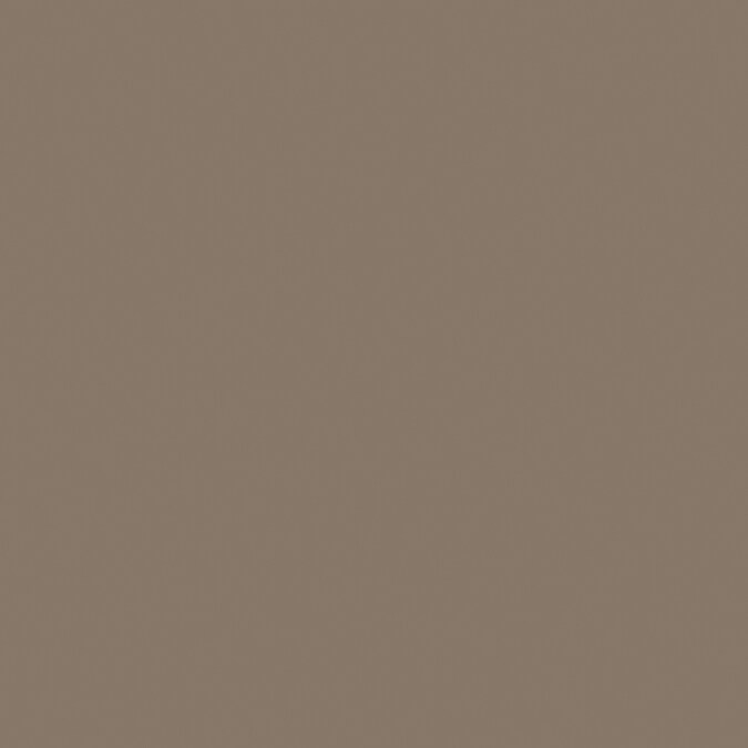 HGTV HOME by SherwinWilliams Homestead Brown Interior Eggshell Paint