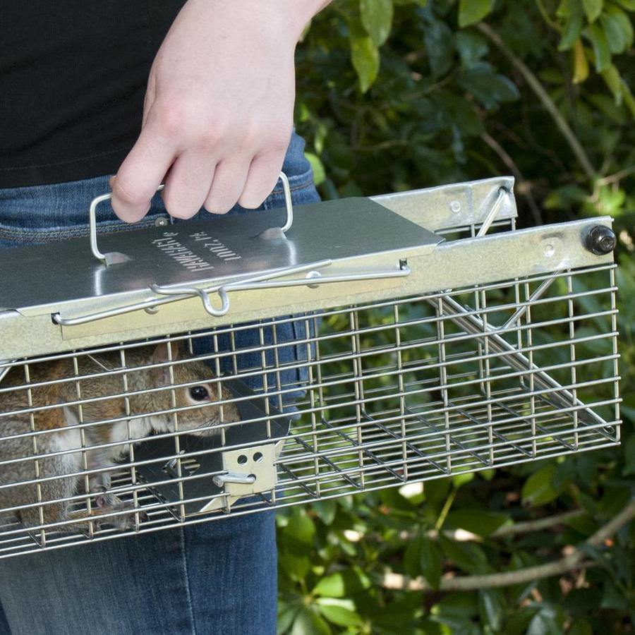 Havahart 2-door Animal Trap (non-lethal) In The Animal & Rodent Control 