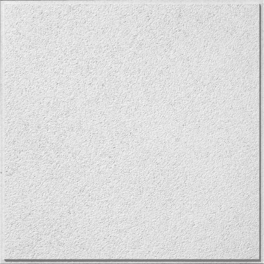 Shop Armstrong Classic Fine Textured Contractor 12-Pack White Textured