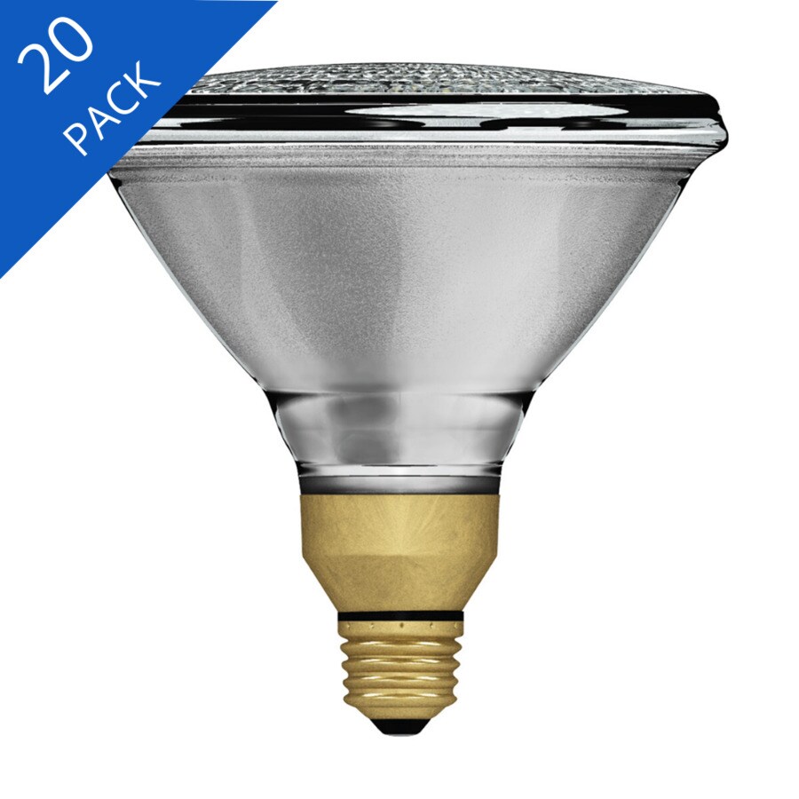 par38 light fixture