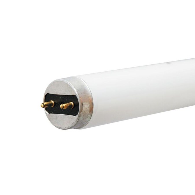 Ge 32 Watt 48 In Medium Bi Pin T8 4100 K Cool White Fluorescent Light Bulb 30 Pack In The Fluorescent Light Bulbs Department At Lowes Com