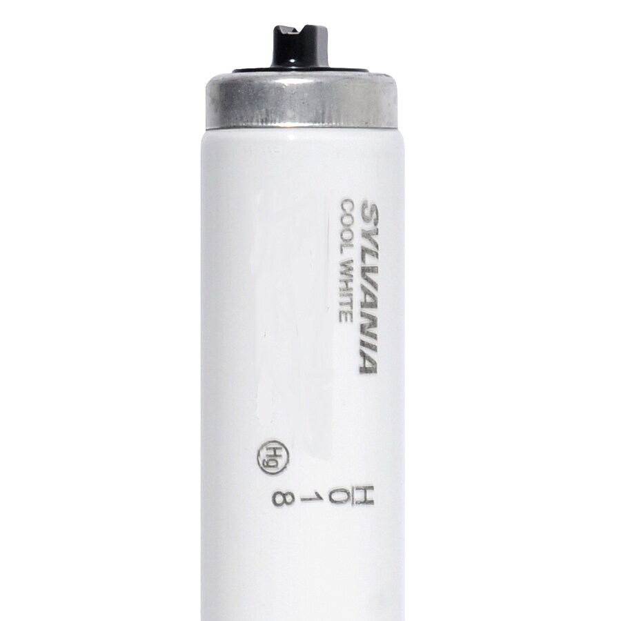 SYLVANIA 30-Pack 160-Watt T12 72-in Fluorescent Light Bulbs in the 