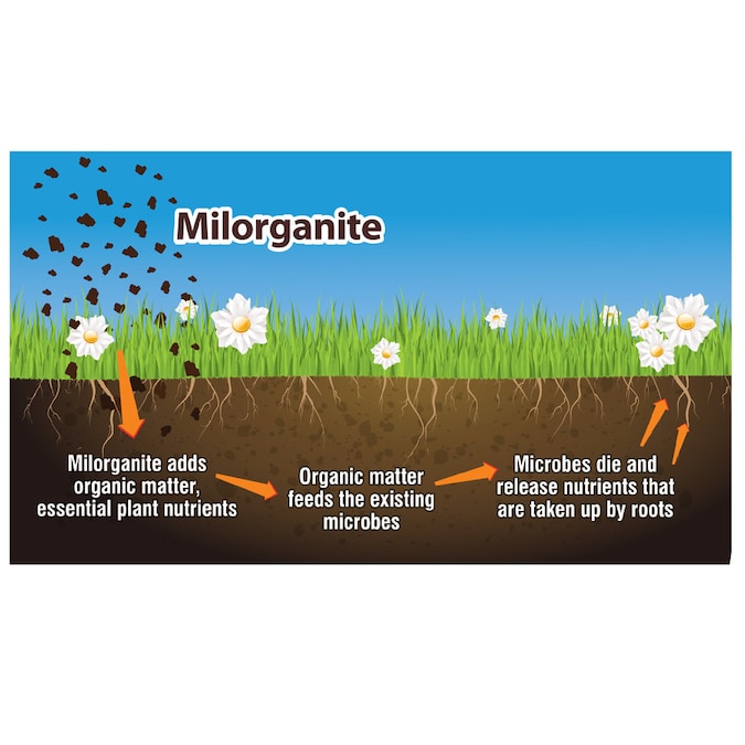 Milorganite Slow Release 36-lb 2500-sq ft 6-4-0 Natural All-Purpose