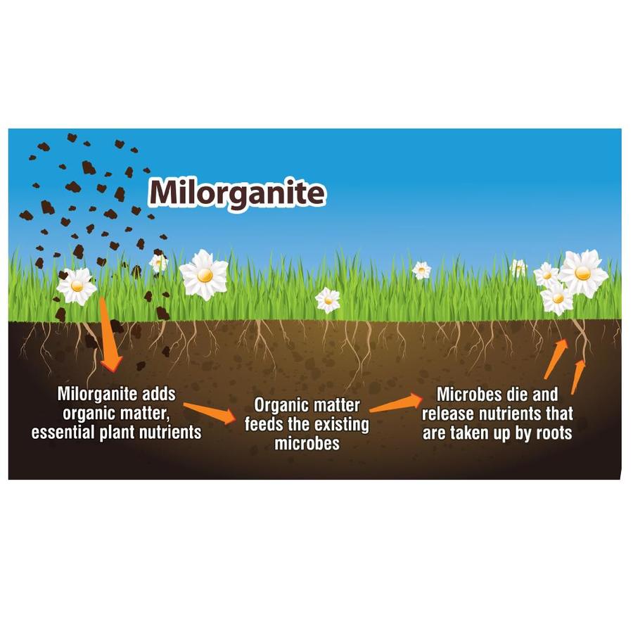 Milorganite Slow Release 32 Lb 2500 Sq Ft 6 4 In The Lawn Fertilizer Department At Lowes Com