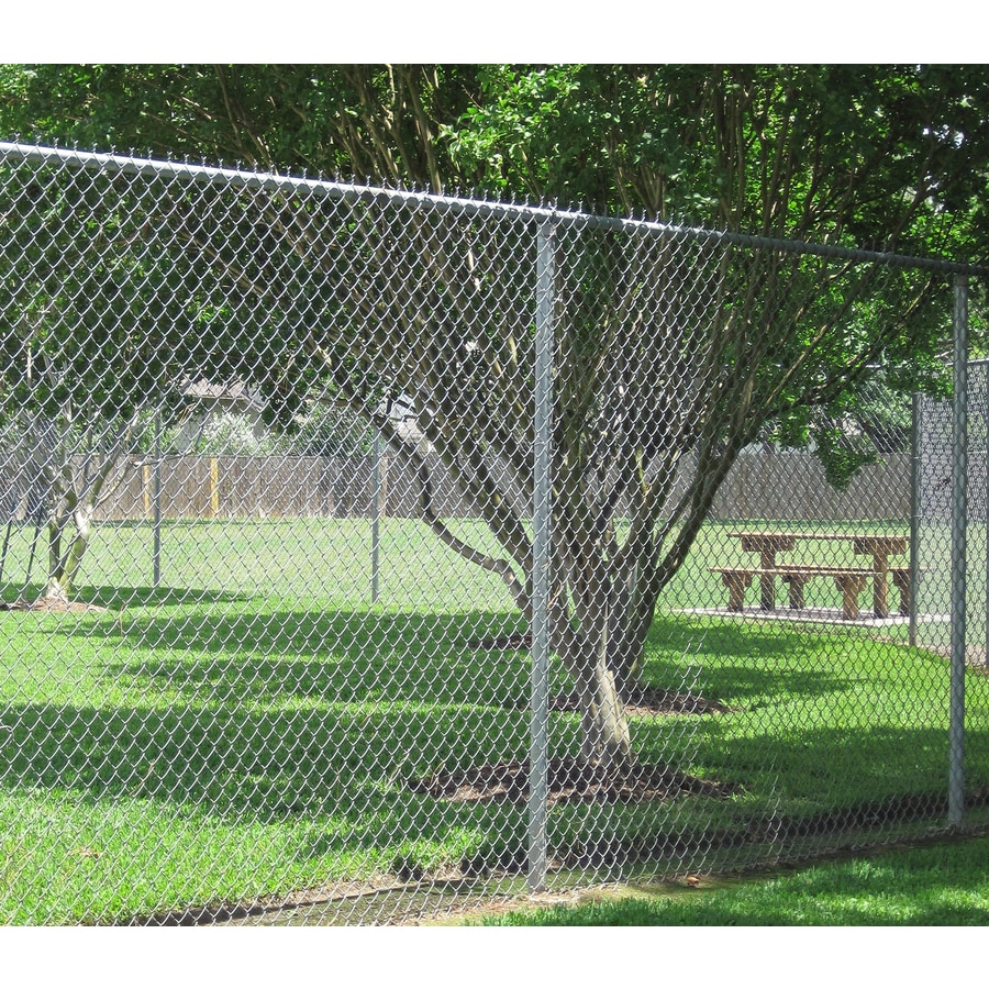 6-ft H x 50-ft L Galvanized Steel Chain-Link Fence Fabric in the Chain