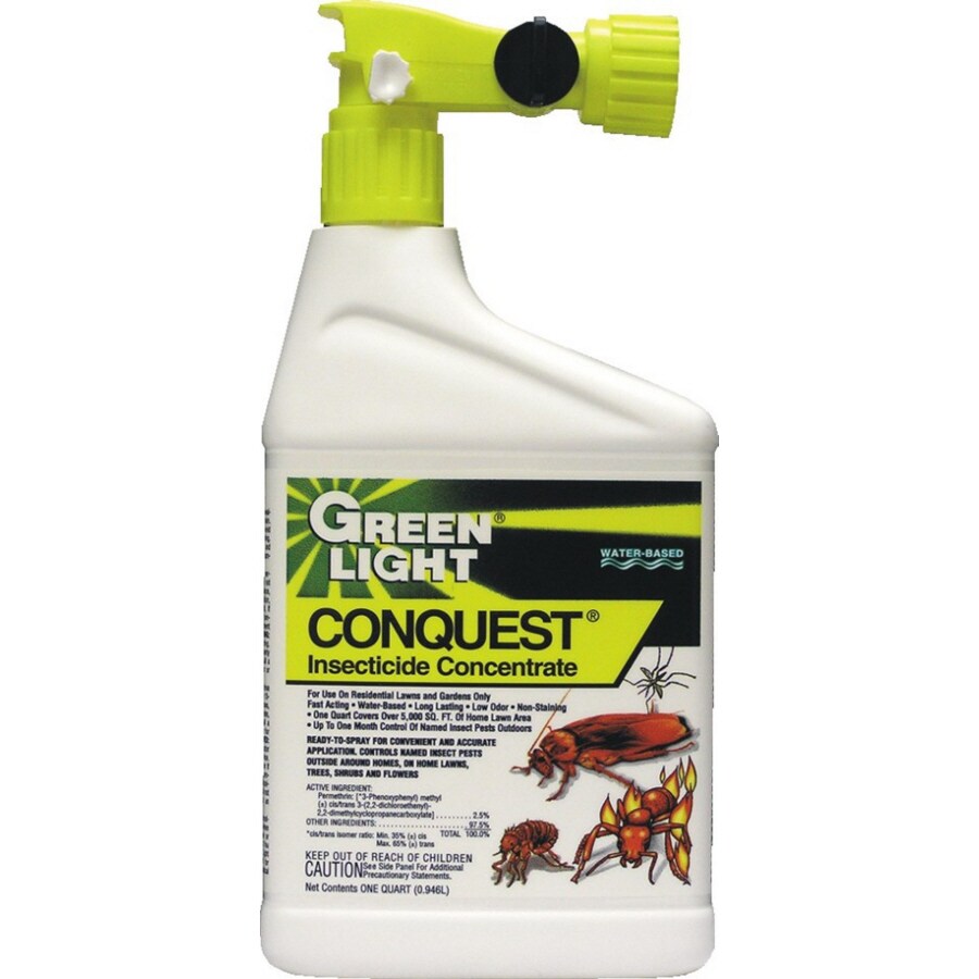 green light ant killer home depot