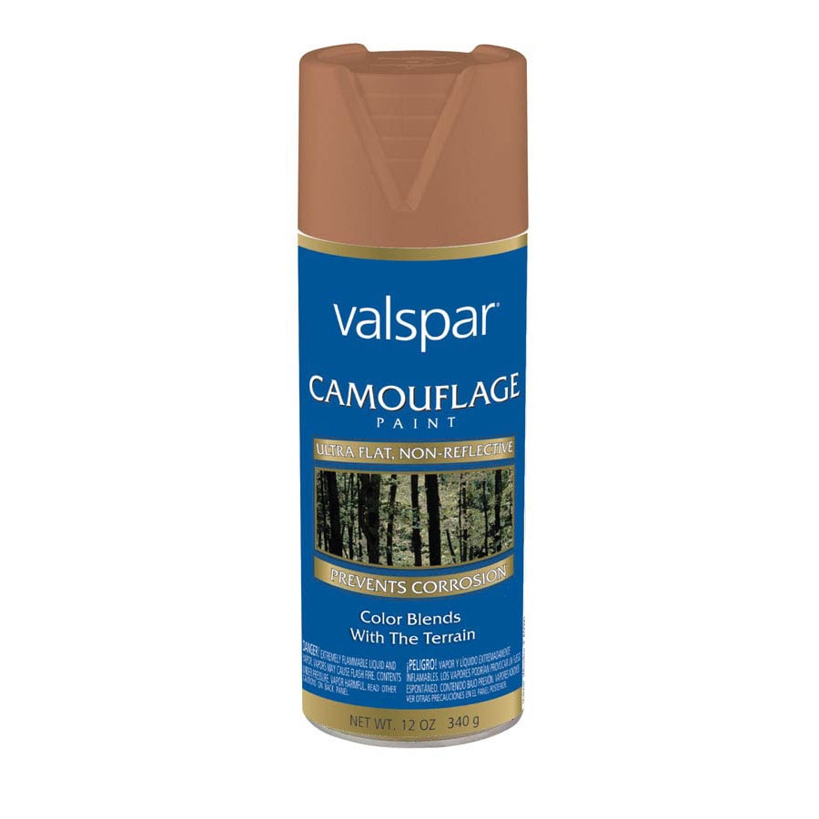 shop-valspar-12-oz-brown-flat-spray-paint-at-lowes