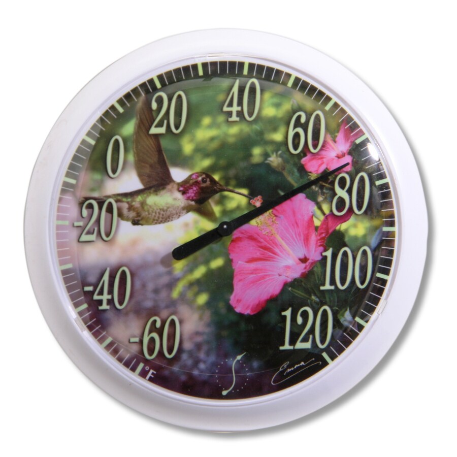 Details about   Thermometer Outdoor Wall Hanging Tempered Glass Hummingbird in Motion 10-inch 