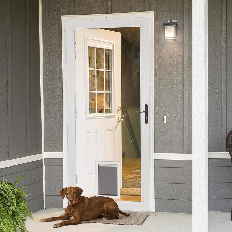 Full view storm 2025 door with pet door