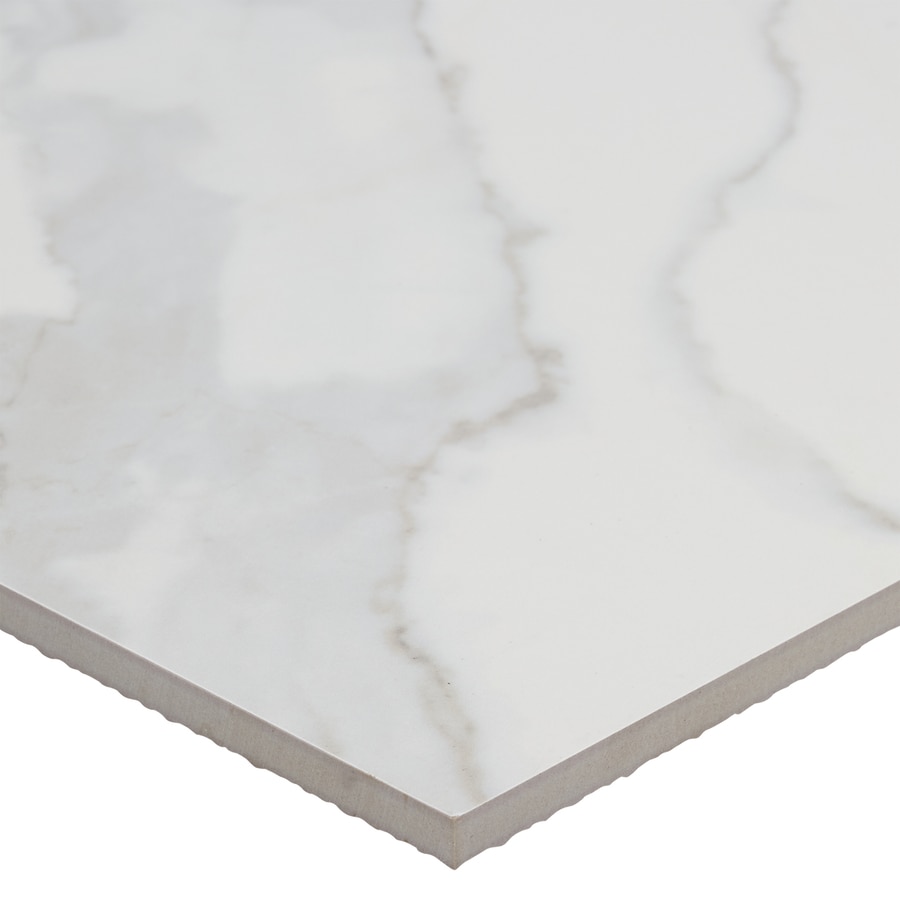 Style Selections Calacatta White 12-in X 12-in Matte Porcelain Marble ...