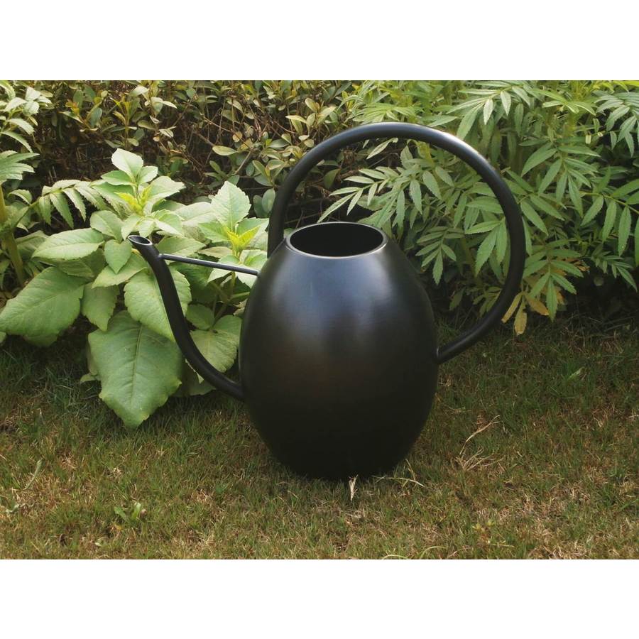 allen + roth 0.6Gallon Black Metal Traditional Watering Can in the