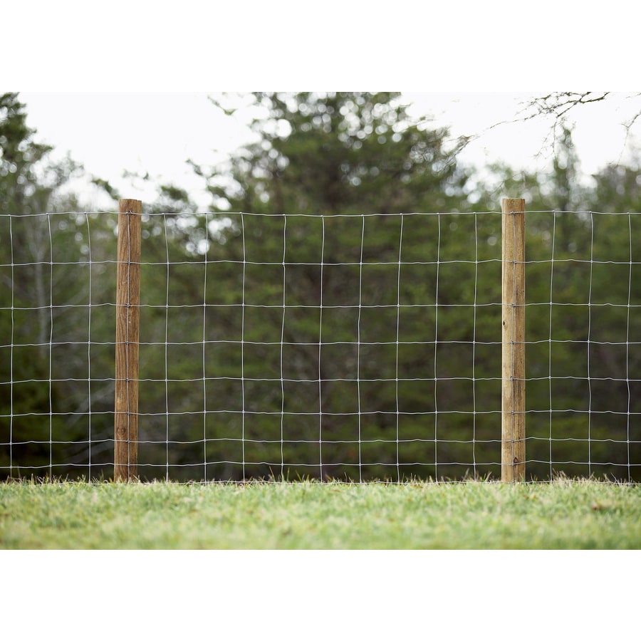 rolled wire fence