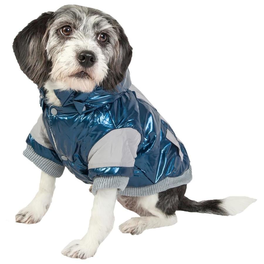 havanese dog clothes