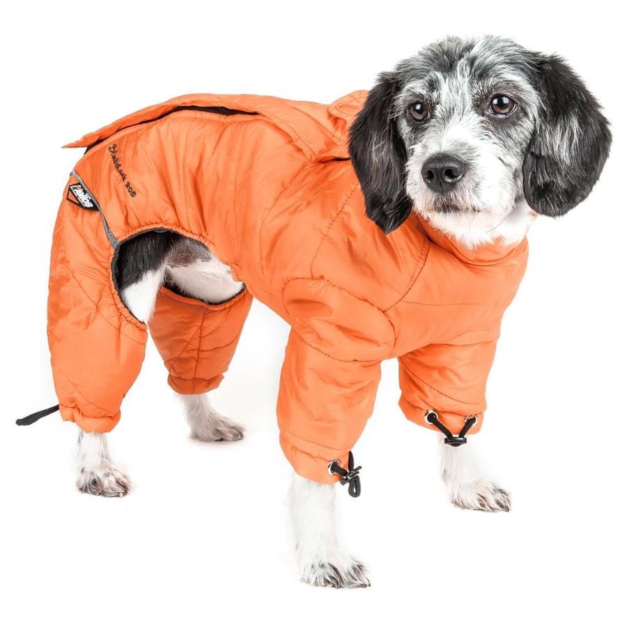 helios dog coats