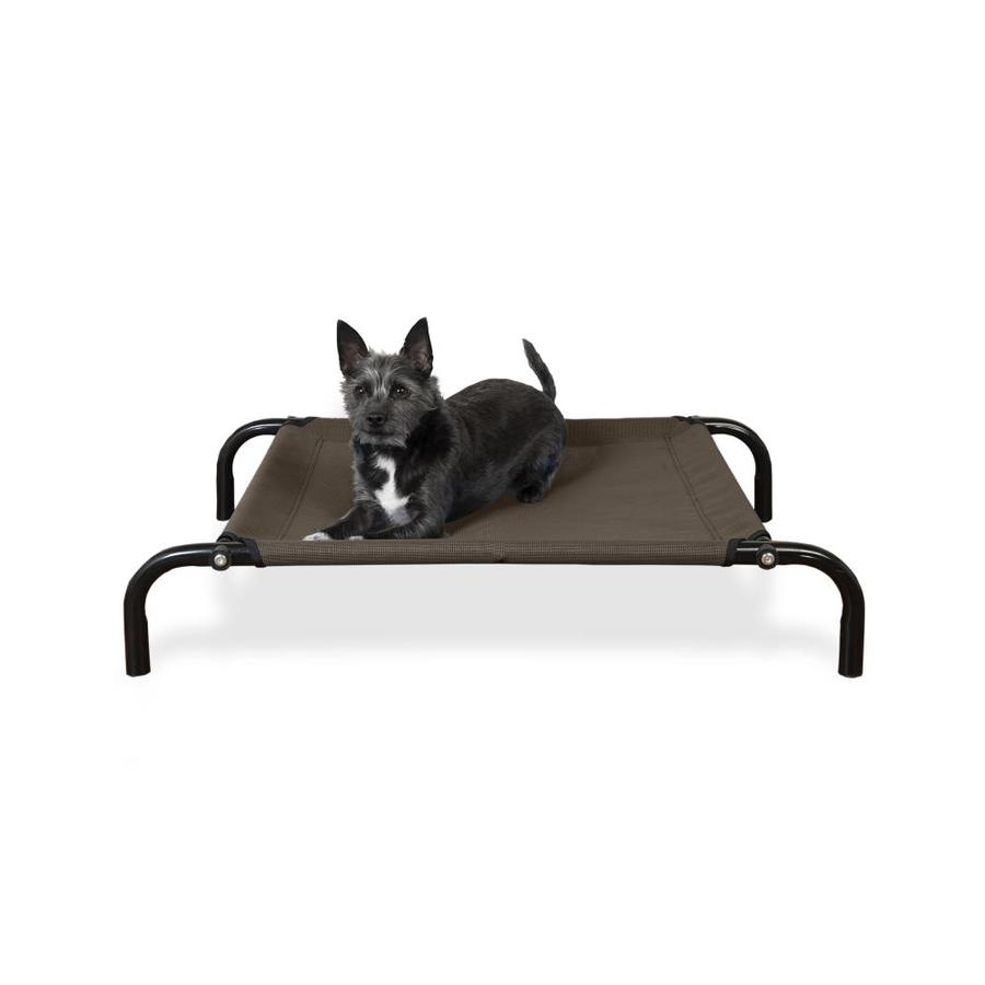 extra extra small dog bed