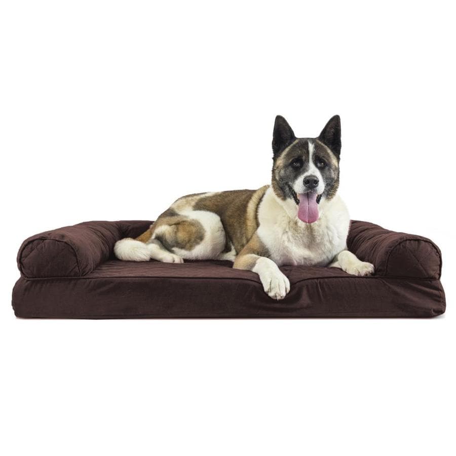 jumbo dog bed