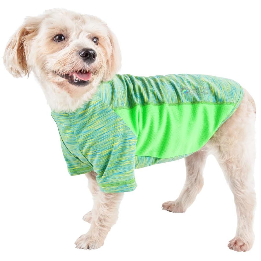 green dog shirt