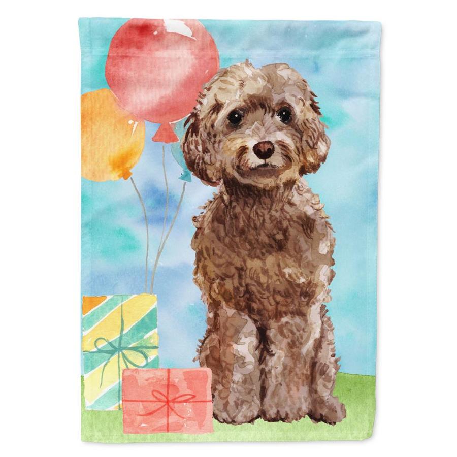 cockapoo birthday