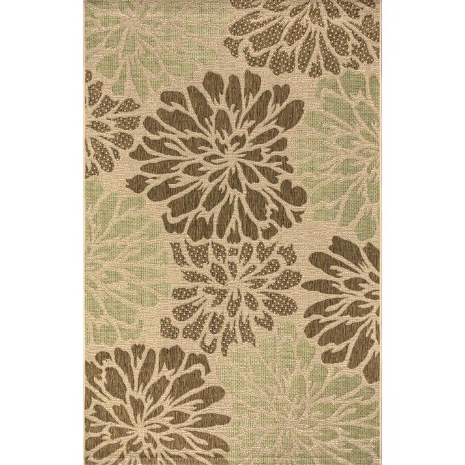 Jonathan Y Santa Monica 3 X 5 Sage Brown Indoor Outdoor Fl Botanical Area Rug In The Rugs Department At Com - Sage Green Flat Weave Rug Jonathan Y Santa Monica 3 X 5 Sage Brown Indoor Outdoor Fl Botanical Area Rug In The Rugs Department At Com - Sage Green Flat Weave Rug