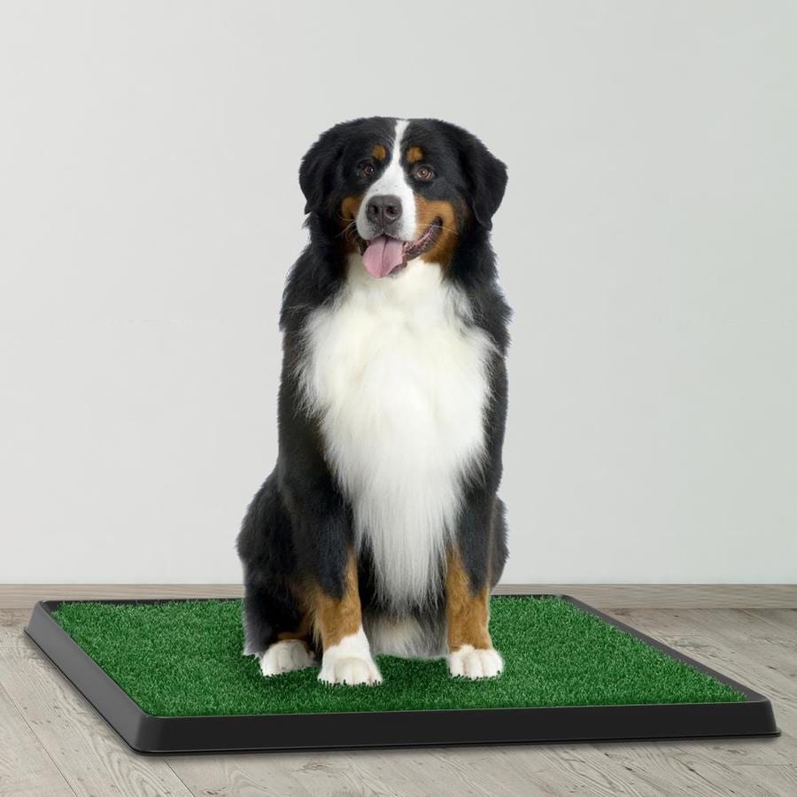 fake grass puppy potty training