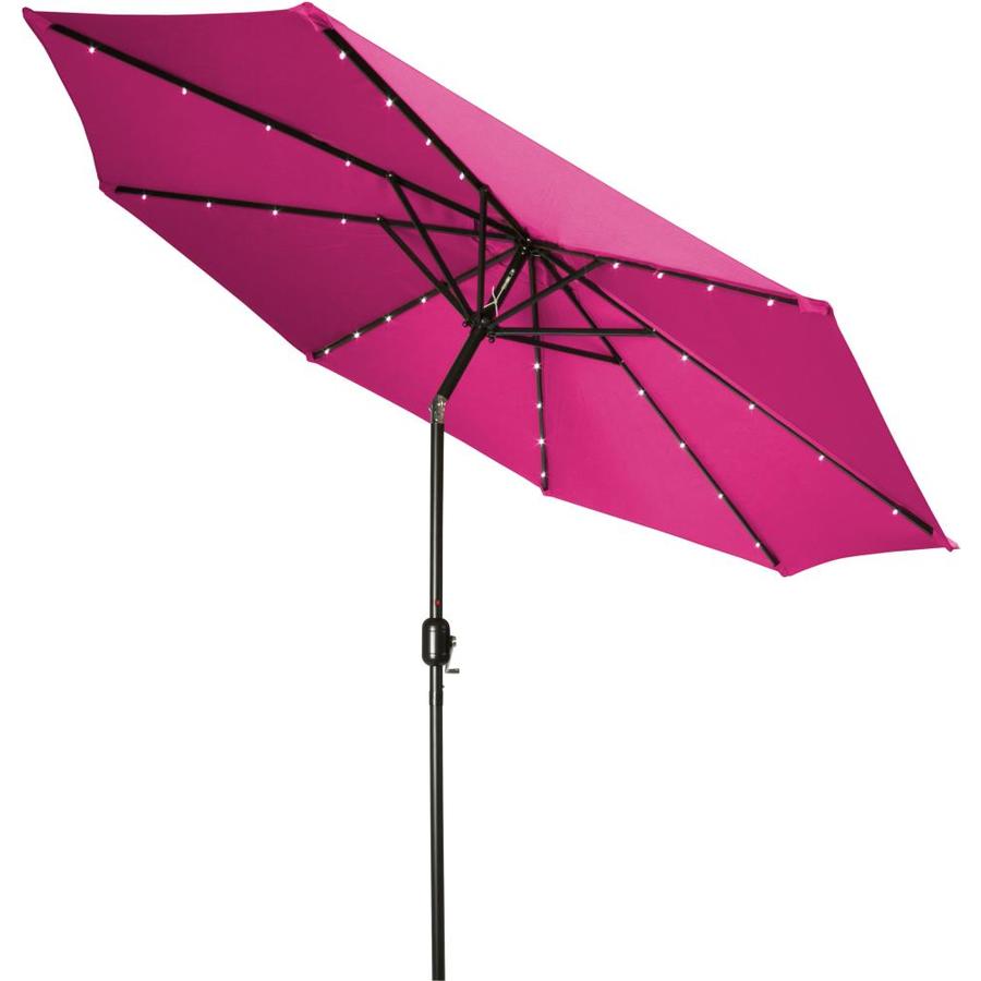 pink and black umbrella