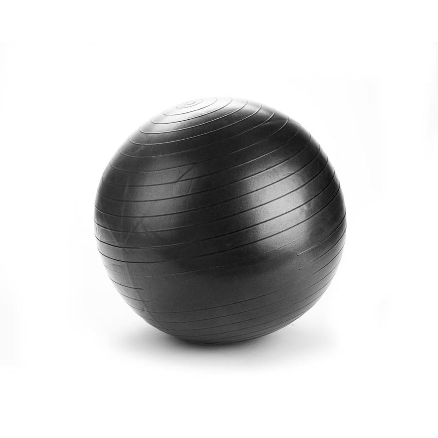 yoga ball chair