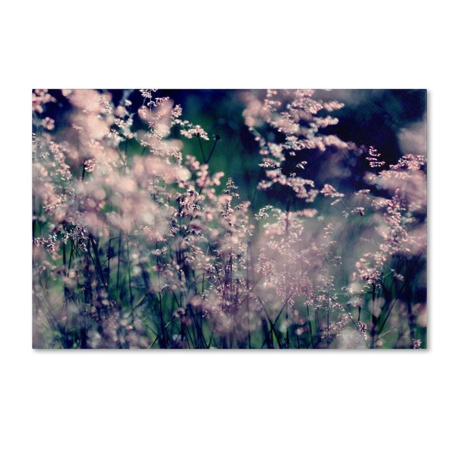 Trademark Fine Art Floral Framed 22-in H x 32-in W Floral Canvas Print in  the Wall Art department at Lowes.com