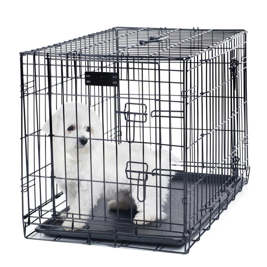 2 dog cage
