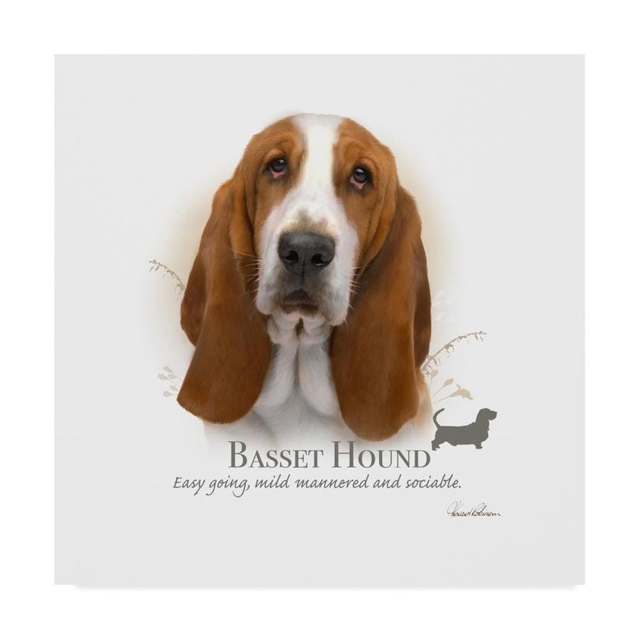 basset hound canvas art