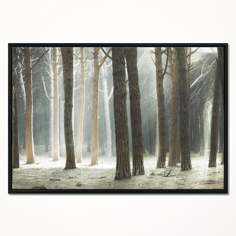 Designart Maritime Pine Tree Forest With Rays- Oversized Forest Framed 