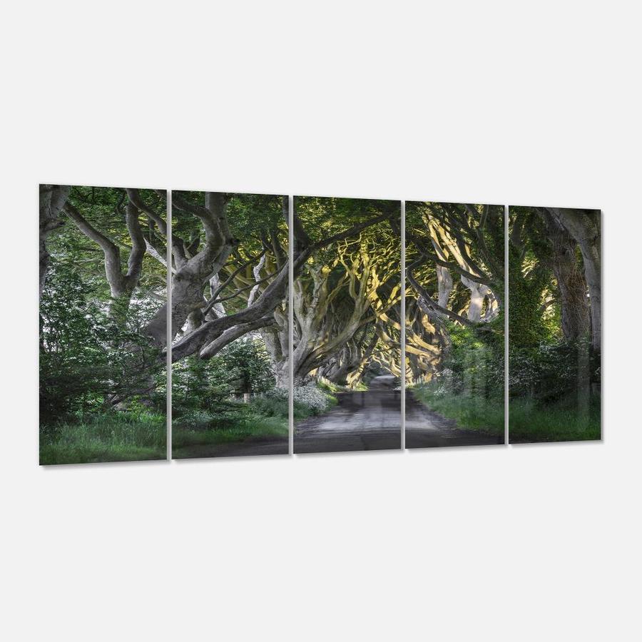 Designart The Dark Hedges Ireland Landscape Multipanel