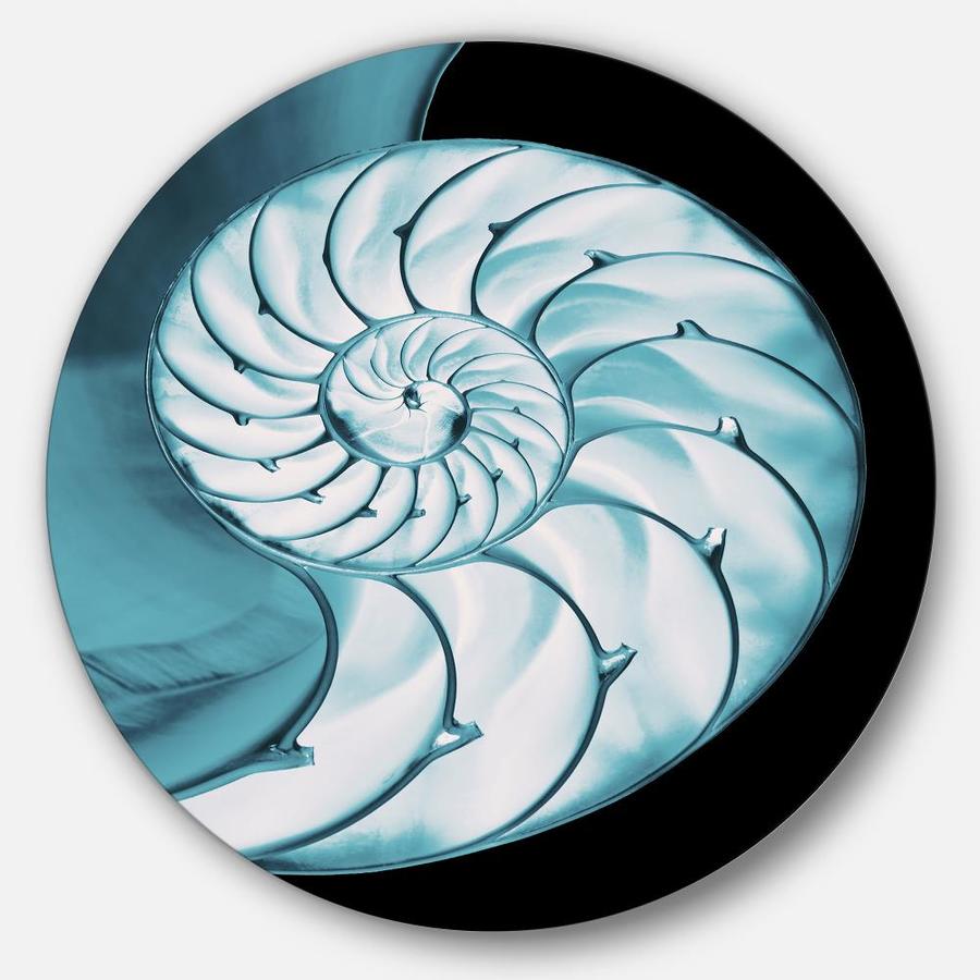 Designart Chambered Nautilus Shell Abstract Circle Metal Wall Art In The Wall Art Department At Lowes Com