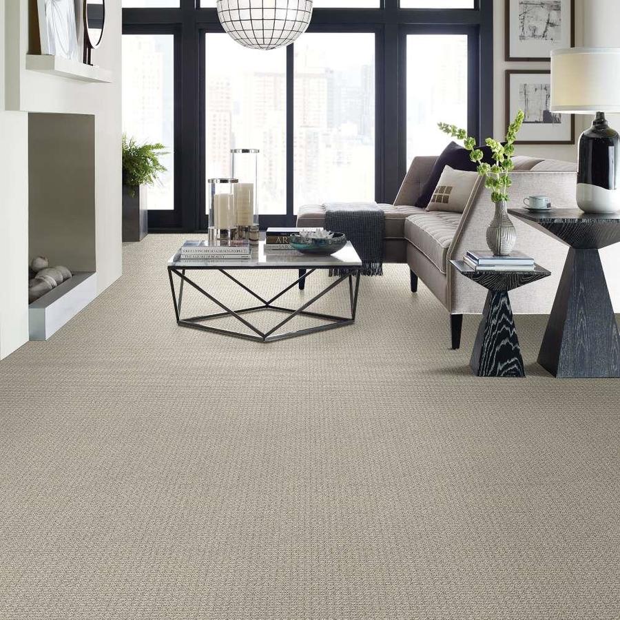 STAINMASTER PetProtect Fetch Shoreline Pattern Carpet (Indoor) in the