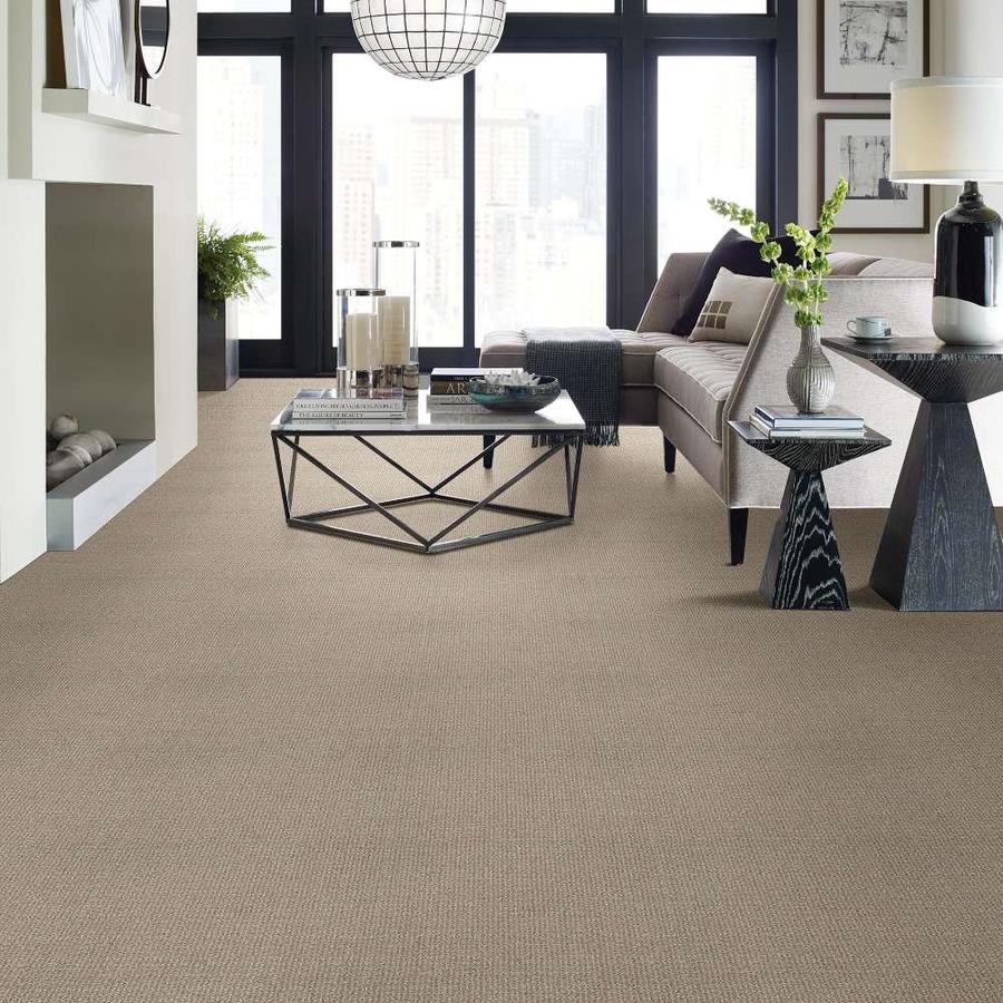 STAINMASTER Signature Cultivated Now Park Avenue Pattern Carpet