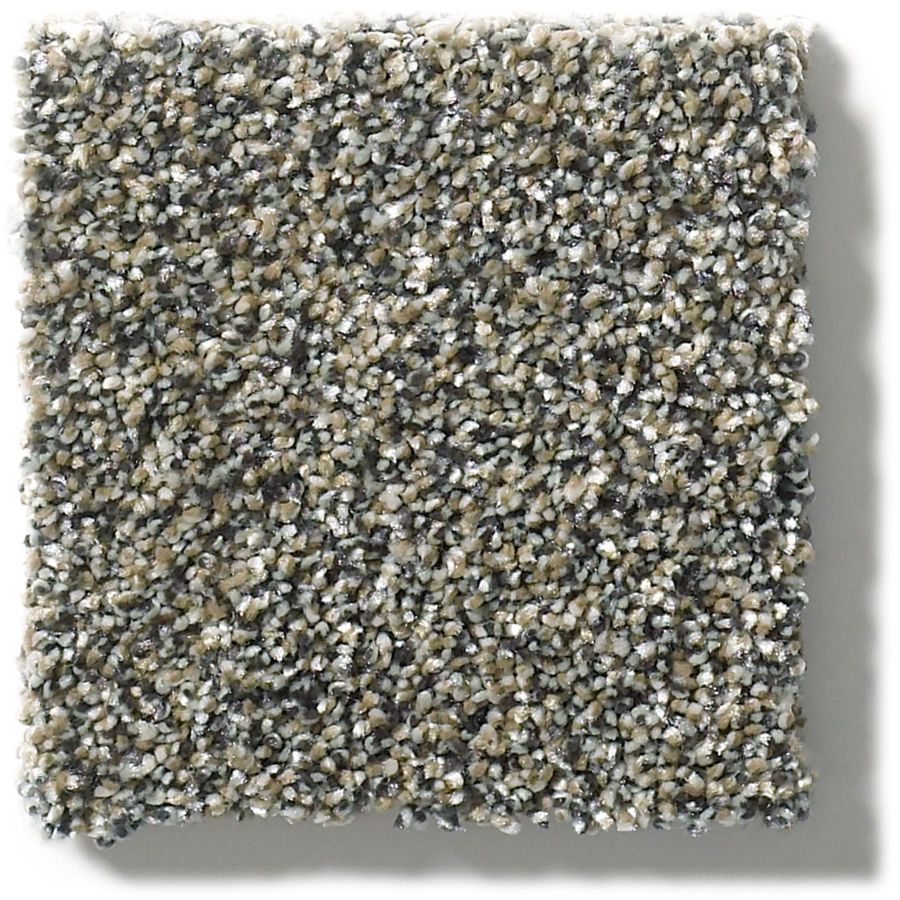 Stainmaster Petprotect Sparkle Luster Textured Carpet Interior In The Carpet Department At Lowes Com