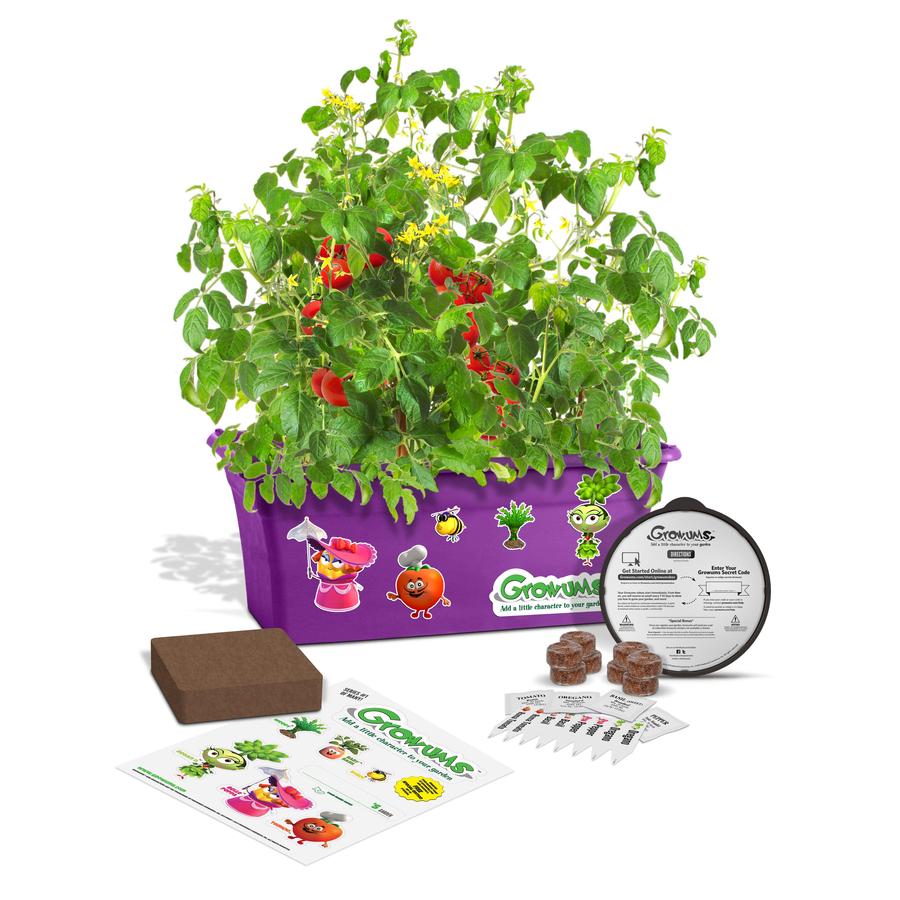 Vegetable Gardening Kit in the Gardening Kits department at