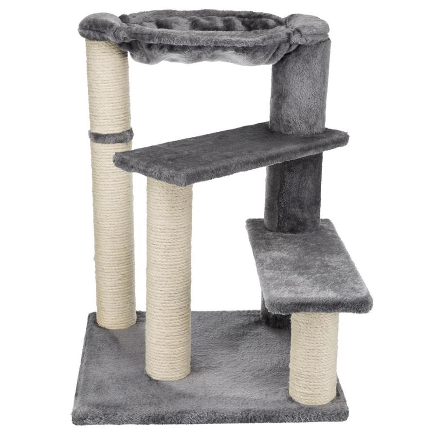 grey cat scratching tree