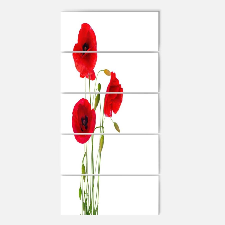 Designart Isolated Red Poppy Flowers Multipanel Floral Metal Wall Art In The Wall Art Department At Lowes Com